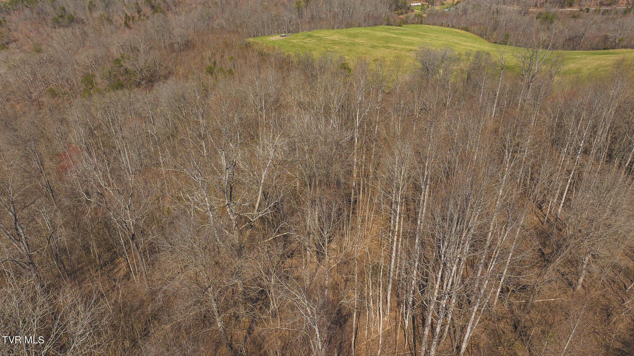 3 Bundren Mountain Road Tazewell, TN 37879 - Photo 17 of 23 DJI_20240311143102_0229_D