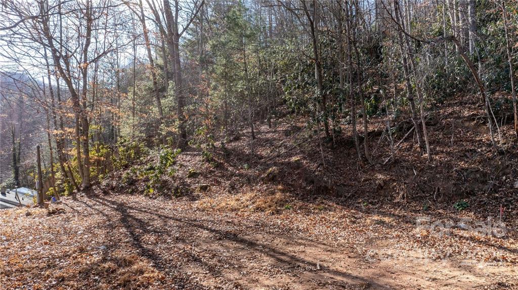 92 Davis Chapel Road, Unit 1 Candler, NC 28715 - Photo 16 of 30 Gallery Image 16