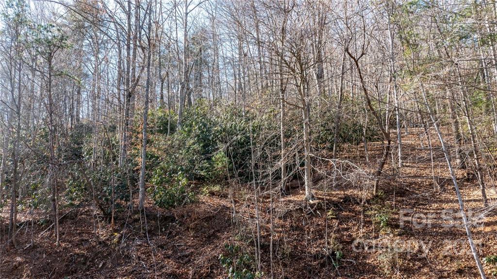 92 Davis Chapel Road, Unit 1 Candler, NC 28715 - Photo 19 of 30 Gallery Image 19