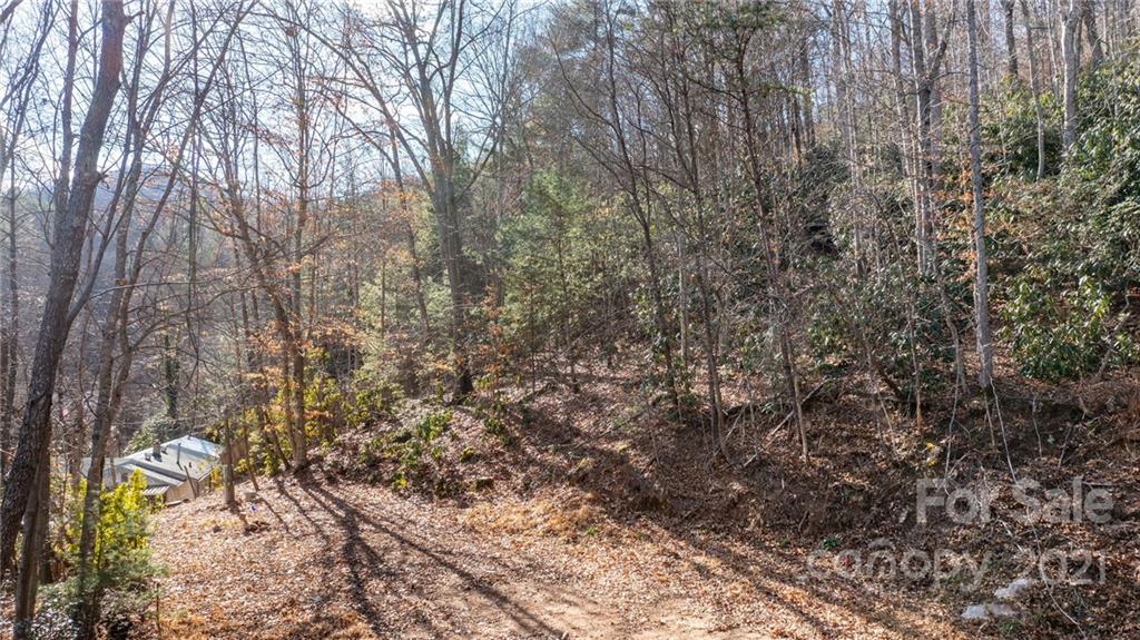 92 Davis Chapel Road, Unit 1 Candler, NC 28715 - Photo 20 of 30 Gallery Image 20
