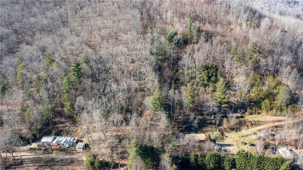92 Davis Chapel Road, Unit 1 Candler, NC 28715 - Photo 24 of 30 Gallery Image 24