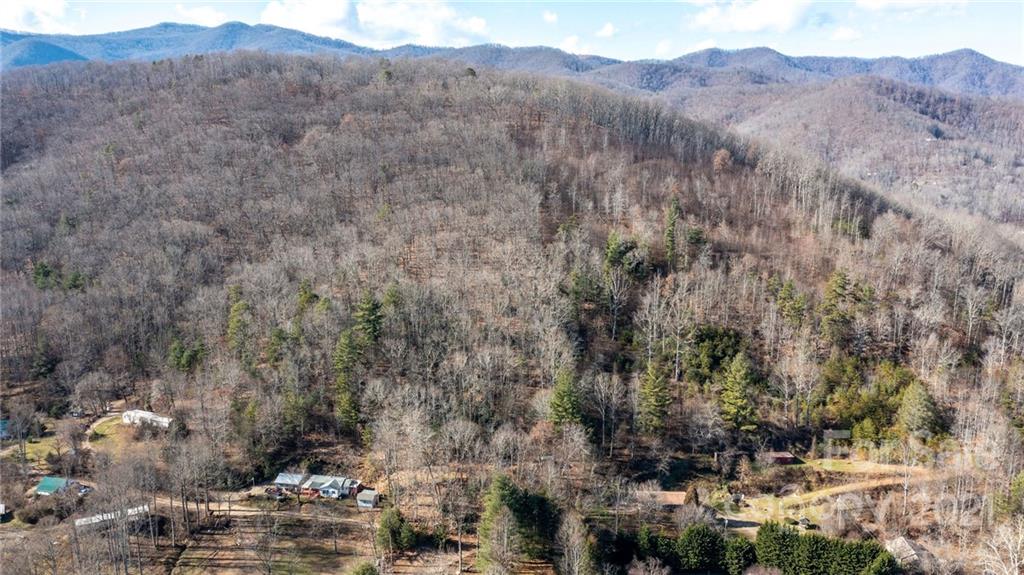 92 Davis Chapel Road, Unit 1 Candler, NC 28715 - Photo 25 of 30 Gallery Image 25