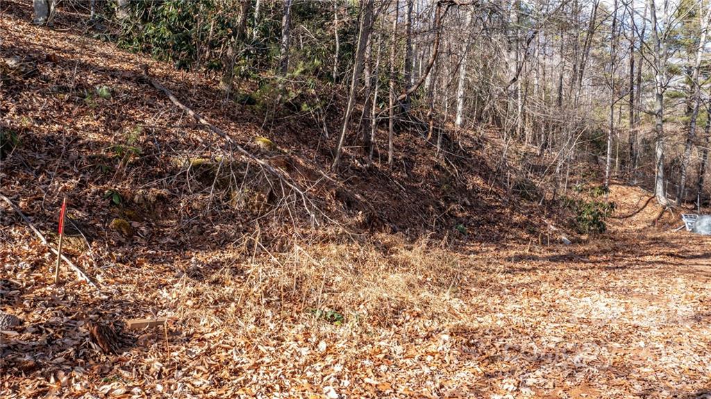 92 Davis Chapel Road, Unit 1 Candler, NC 28715 - Photo 28 of 30 Gallery Image 28