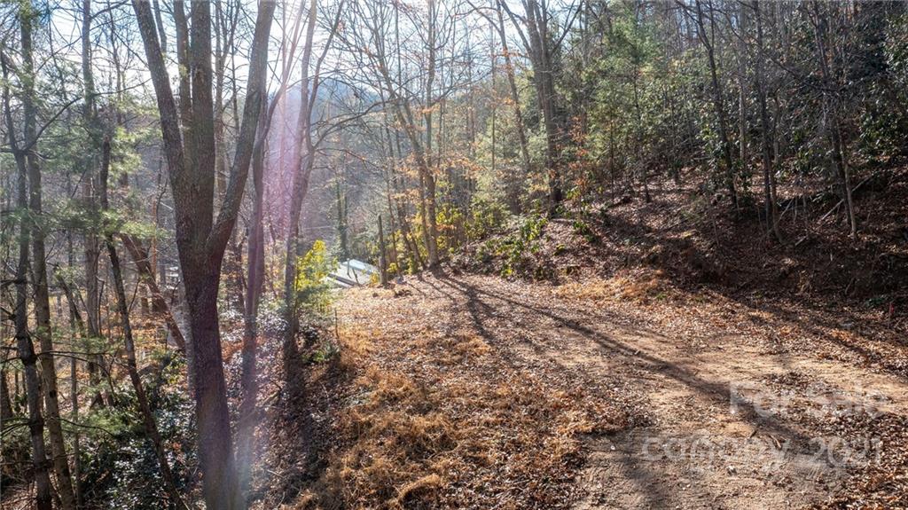 92 Davis Chapel Road, Unit 1 Candler, NC 28715 - Photo 4 of 30 Gallery Image 4