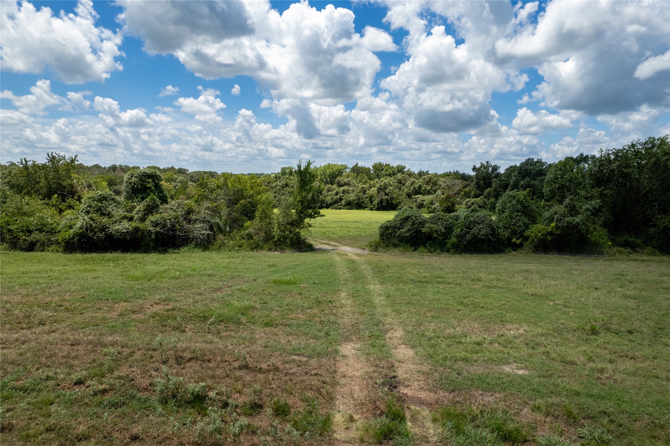 0 Cedar Hill Road Brenham, TX 77833 - Photo 12 of 26 a view of a lush green space