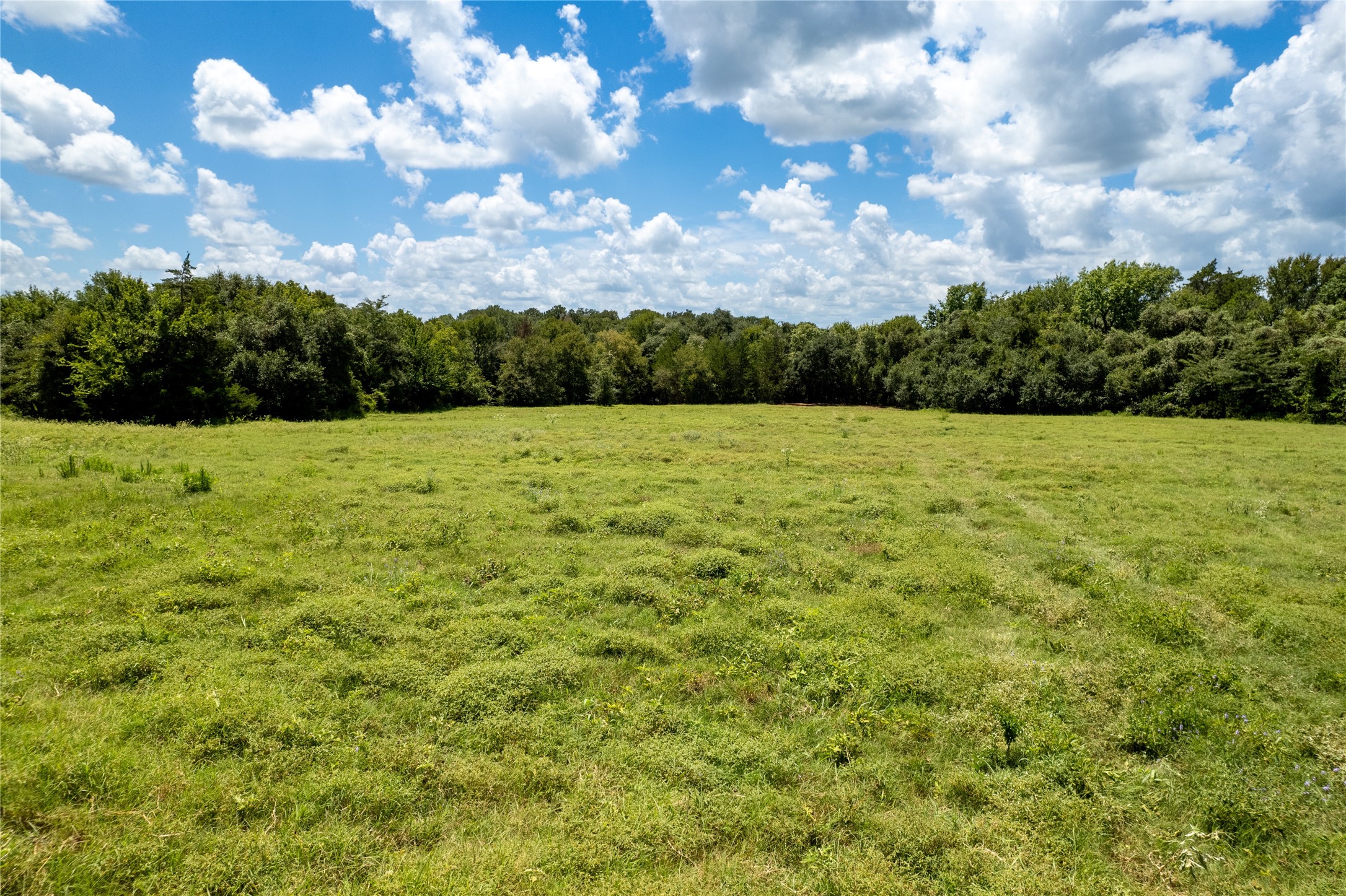 0 Cedar Hill Road Brenham, TX 77833 - Photo 13 of 26 a view of an outdoor space and a yard