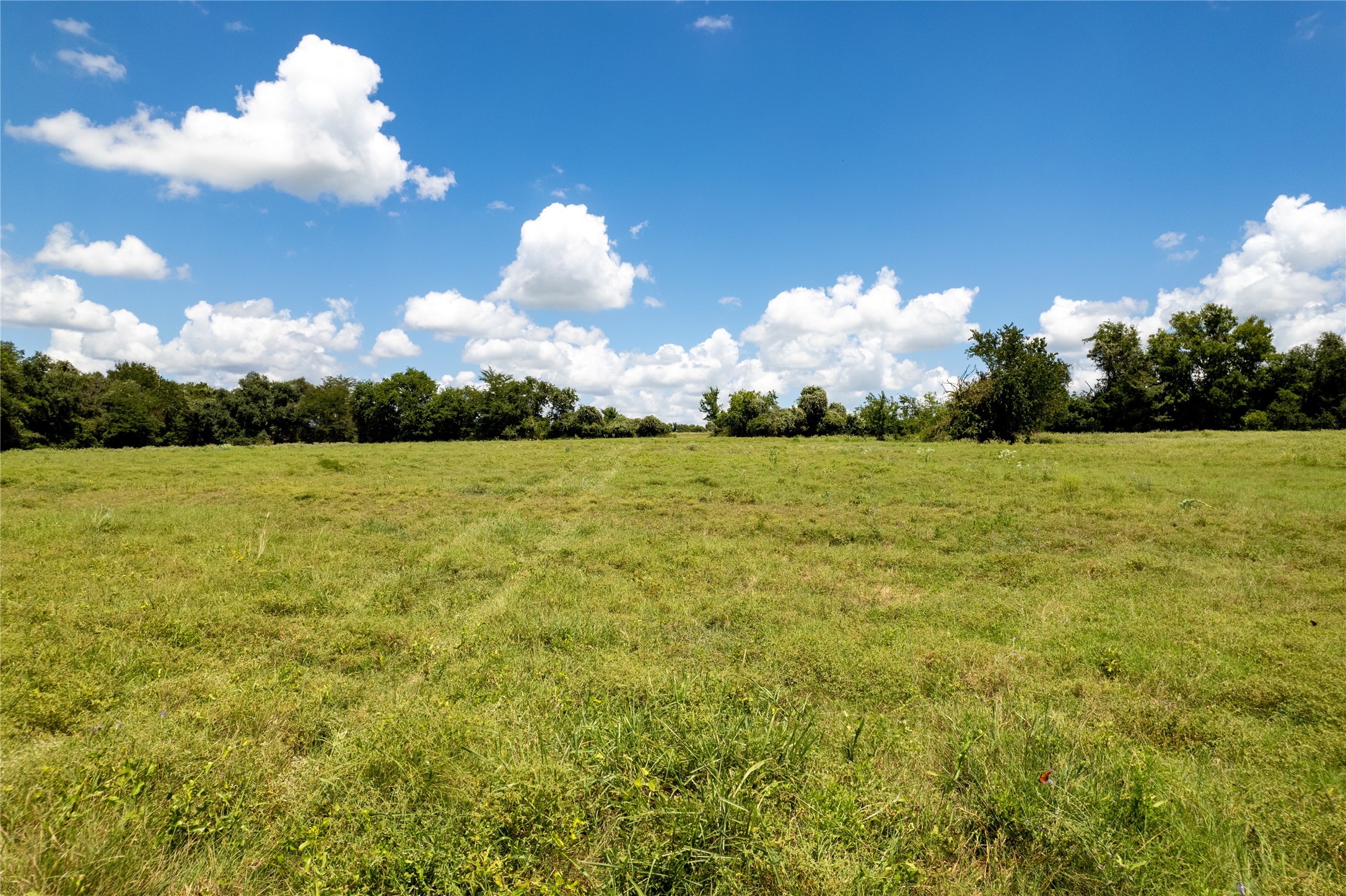 0 Cedar Hill Road Brenham, TX 77833 - Photo 16 of 26 a view of a lake