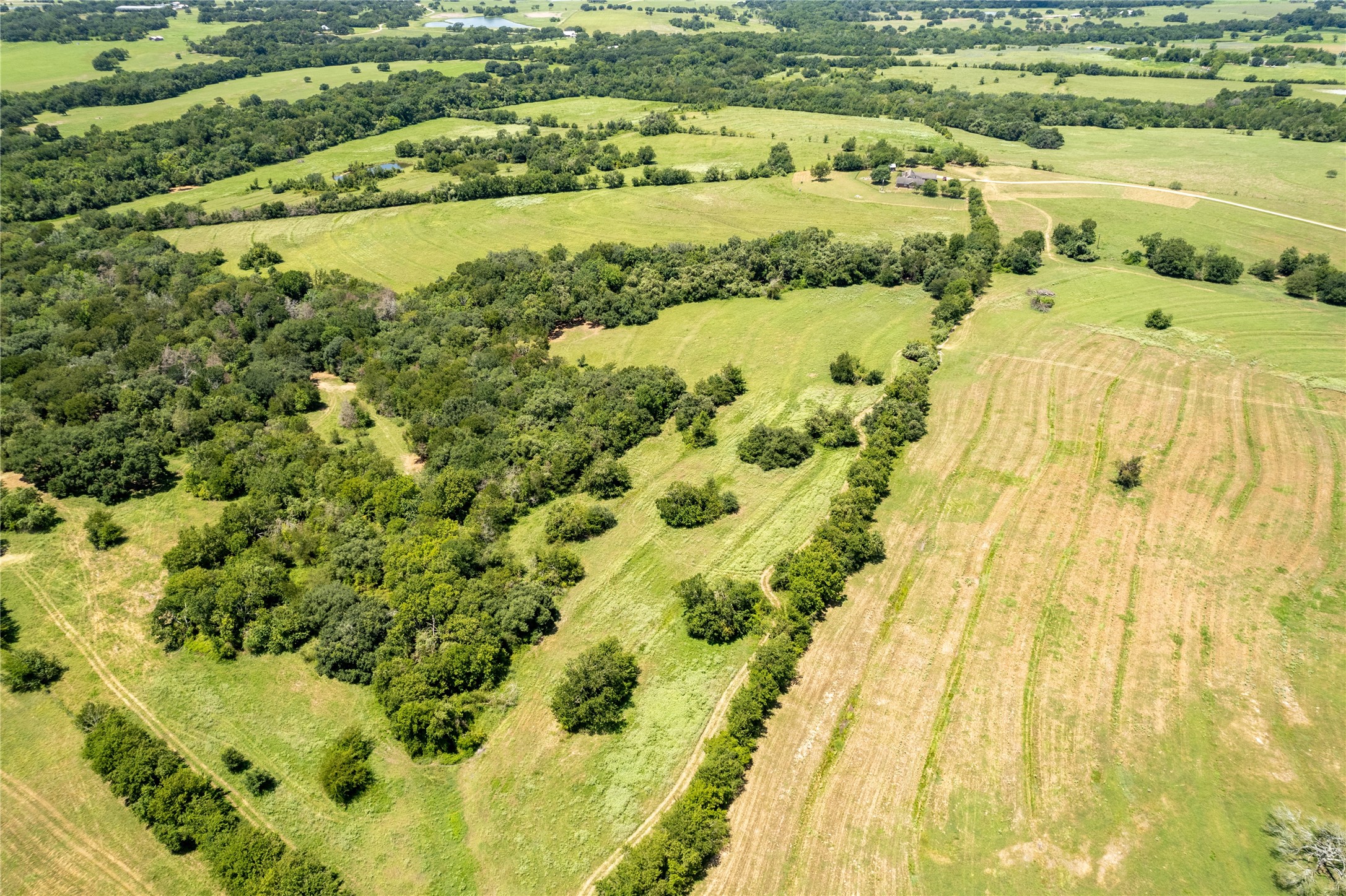 0 Cedar Hill Road Brenham, TX 77833 - Photo 17 of 26 a view of a lake view