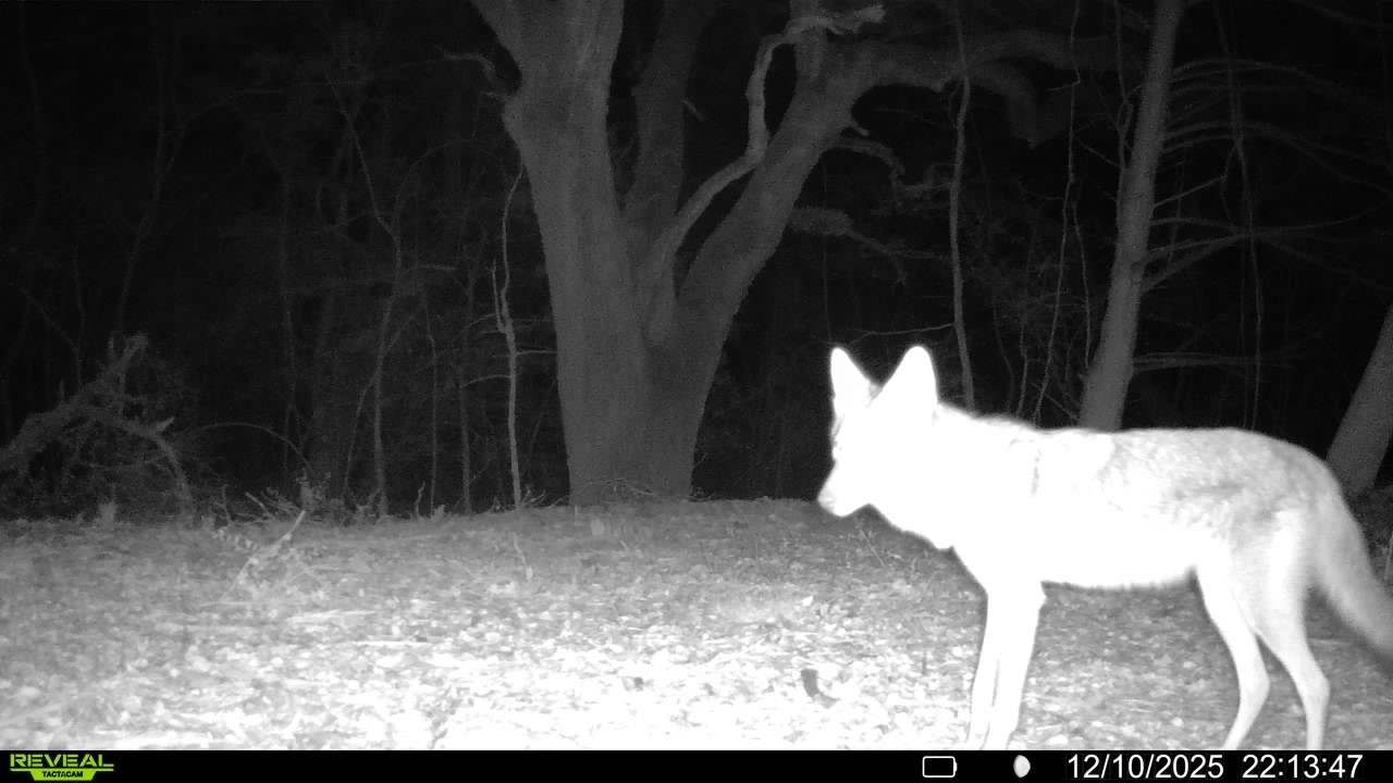 0 Cedar Hill Road Brenham, TX 77833 - Photo 18 of 26 a view of a living room