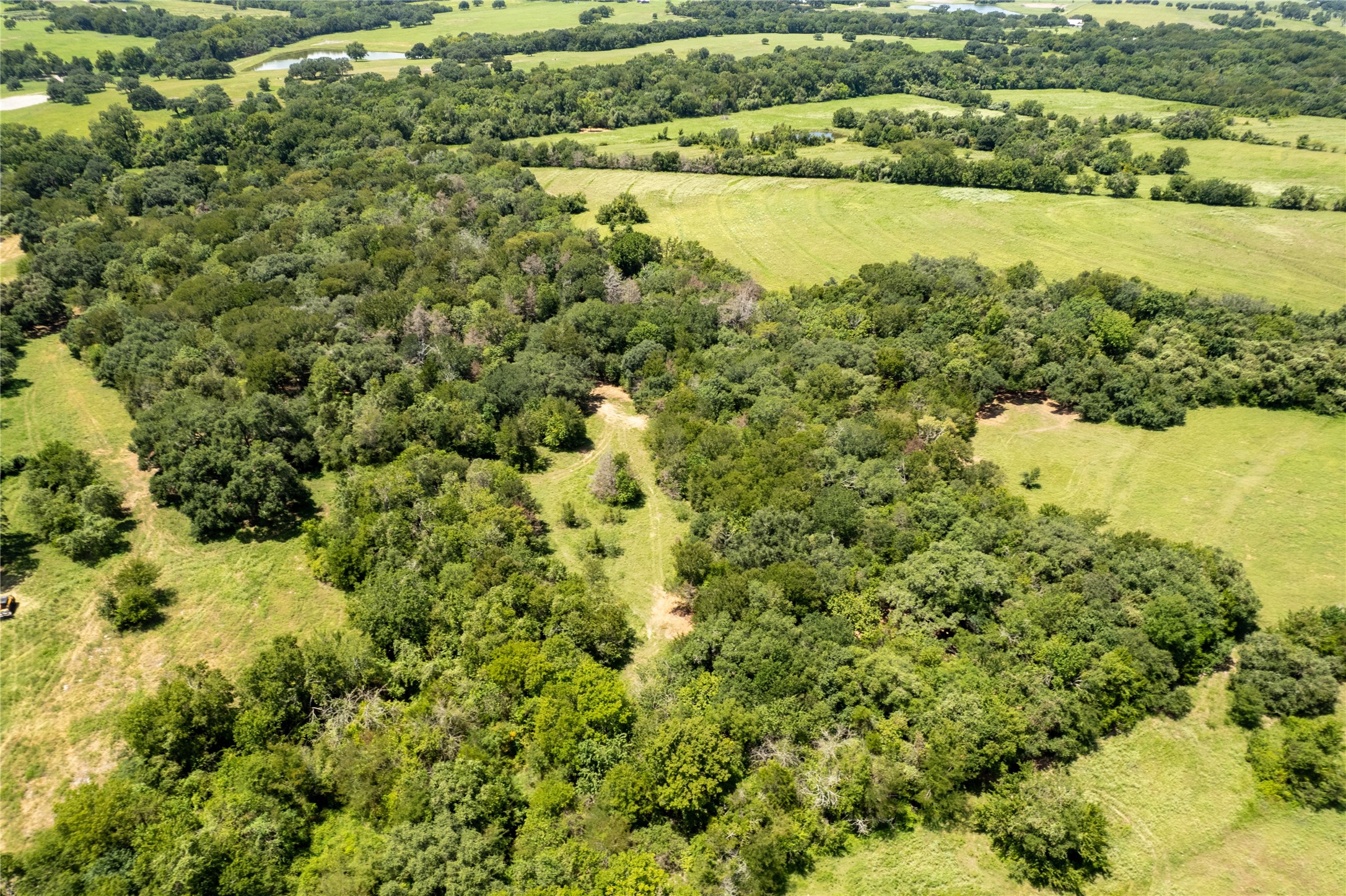 0 Cedar Hill Road Brenham, TX 77833 - Photo 19 of 26 a view of an ocean from a yard