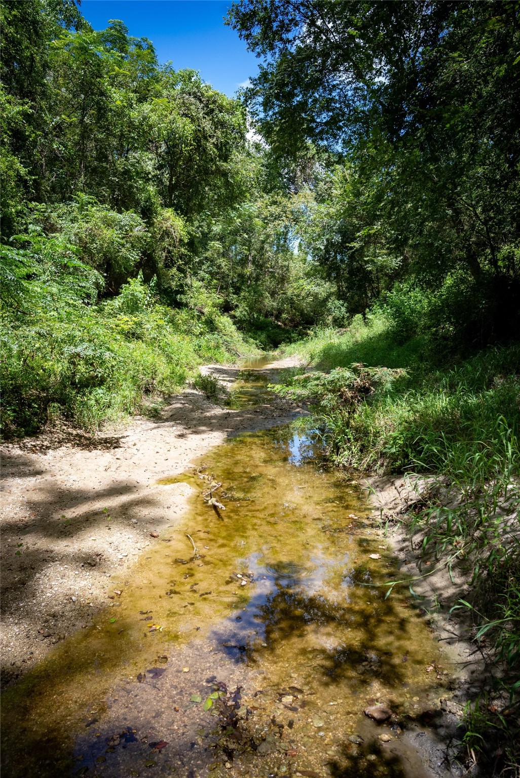 0 Cedar Hill Road Brenham, TX 77833 - Photo 21 of 26 a view of a yard with an outdoor space
