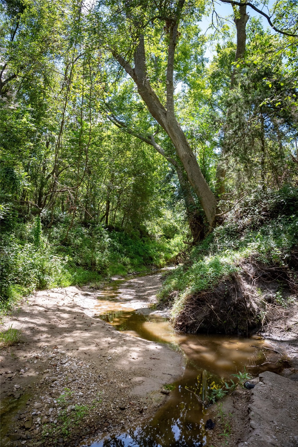 0 Cedar Hill Road Brenham, TX 77833 - Photo 22 of 26 a view of a street with a yard