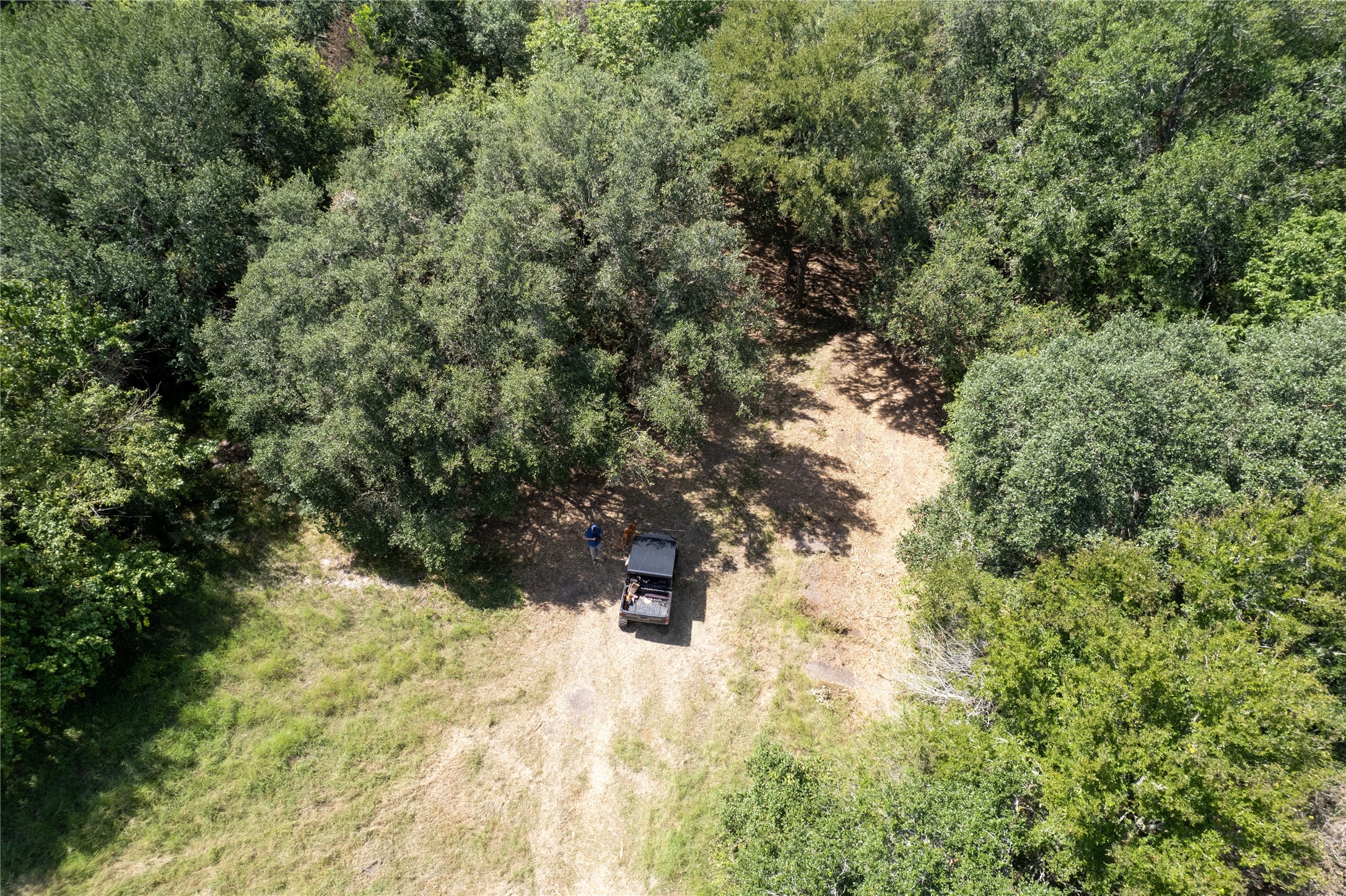 0 Cedar Hill Road Brenham, TX 77833 - Photo 7 of 26 a view of a yard covered in snow