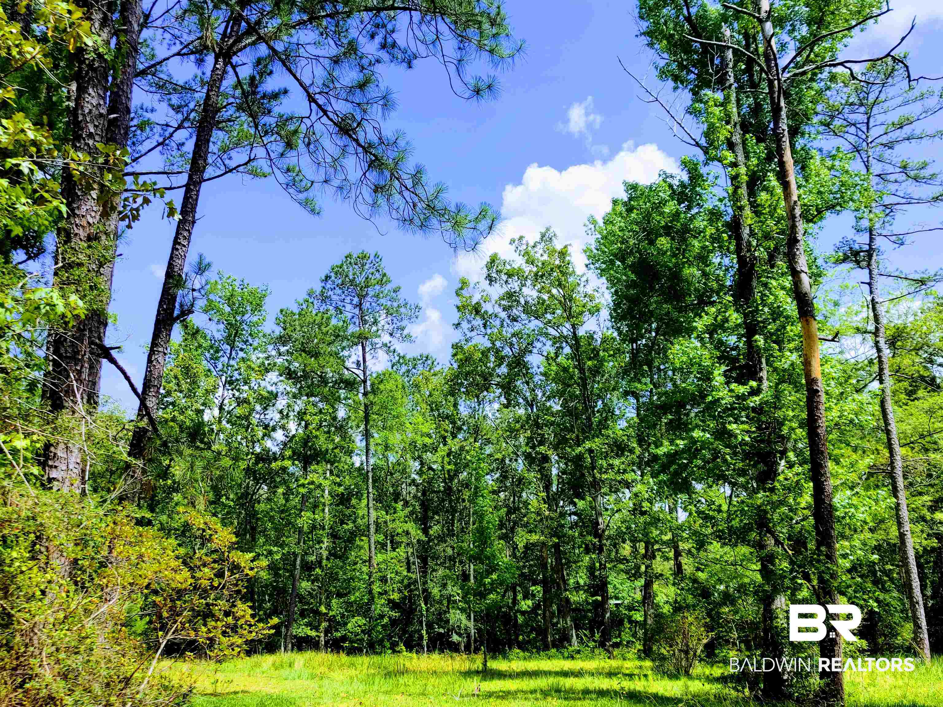 48 Highway 17 Millry, AL 36558 - Photo 47 of 50