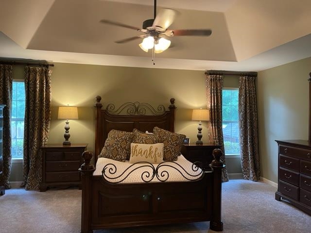 238 Wolf Ridge Cove Collierville, TN 38017 - Photo 15 of 25 a bedroom with a bed and a chandelier