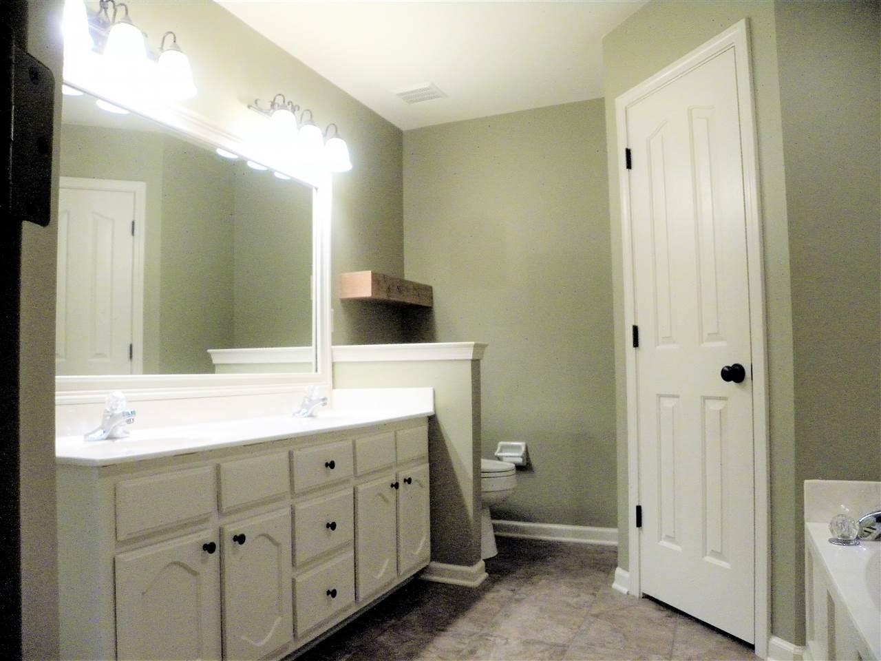 238 Wolf Ridge Cove Collierville, TN 38017 - Photo 16 of 25 a bathroom with a double vanity sink and mirror