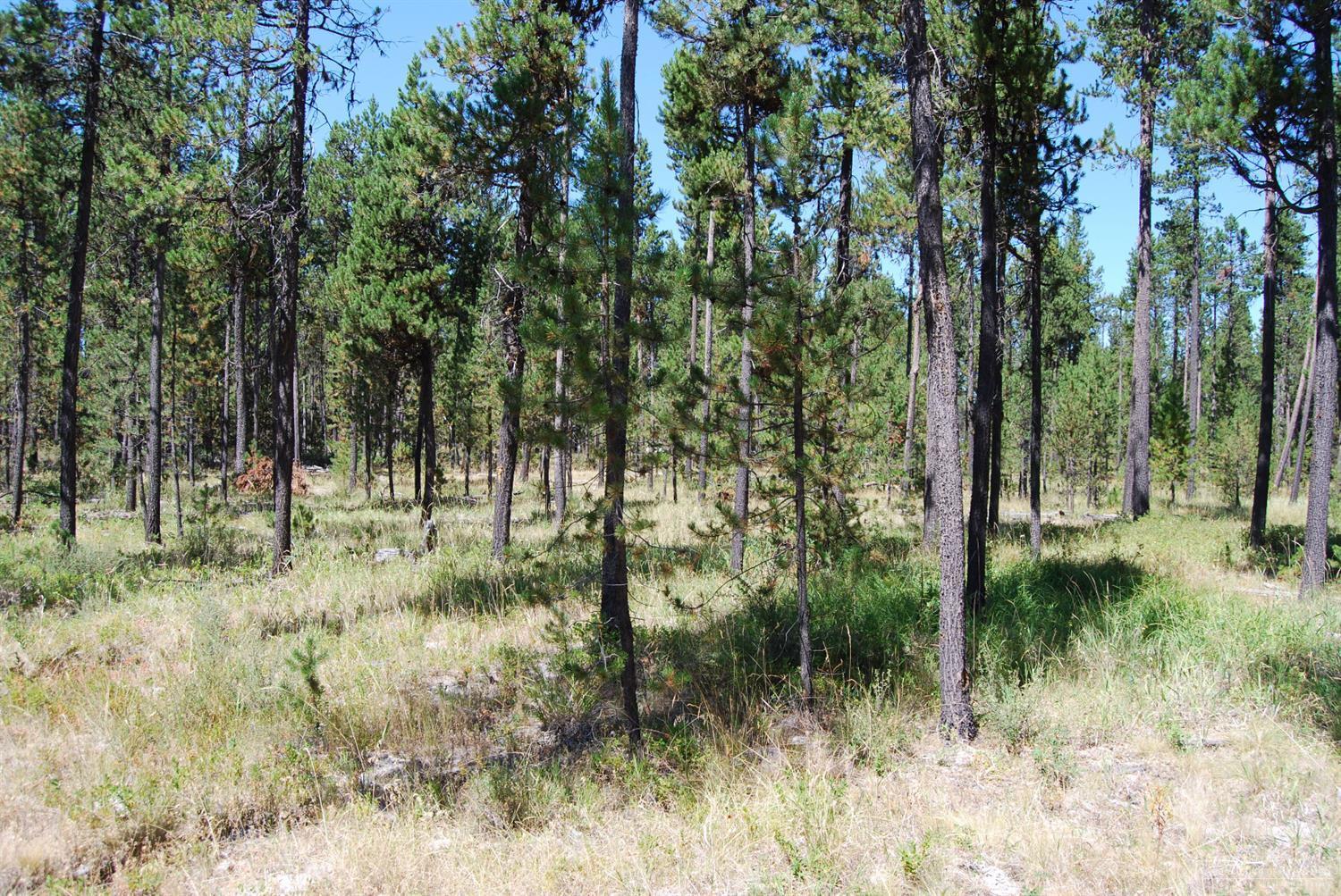 17084 Hermosa Road Bend, OR 97707 - Photo 3 of 8 Gallery Image 3