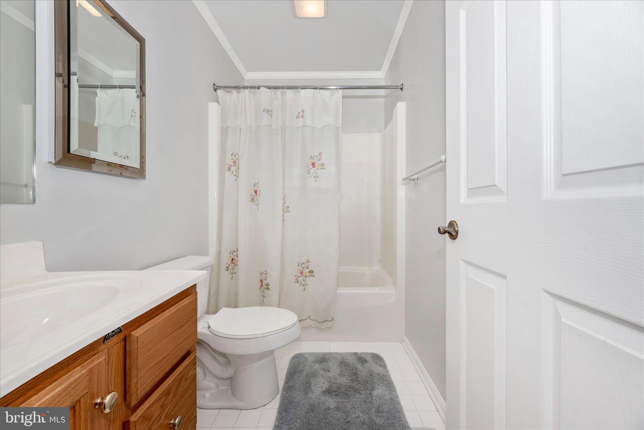 293 Hahn Road Westminster, MD 21157 - Photo 28 of 47 Hall Bathroom