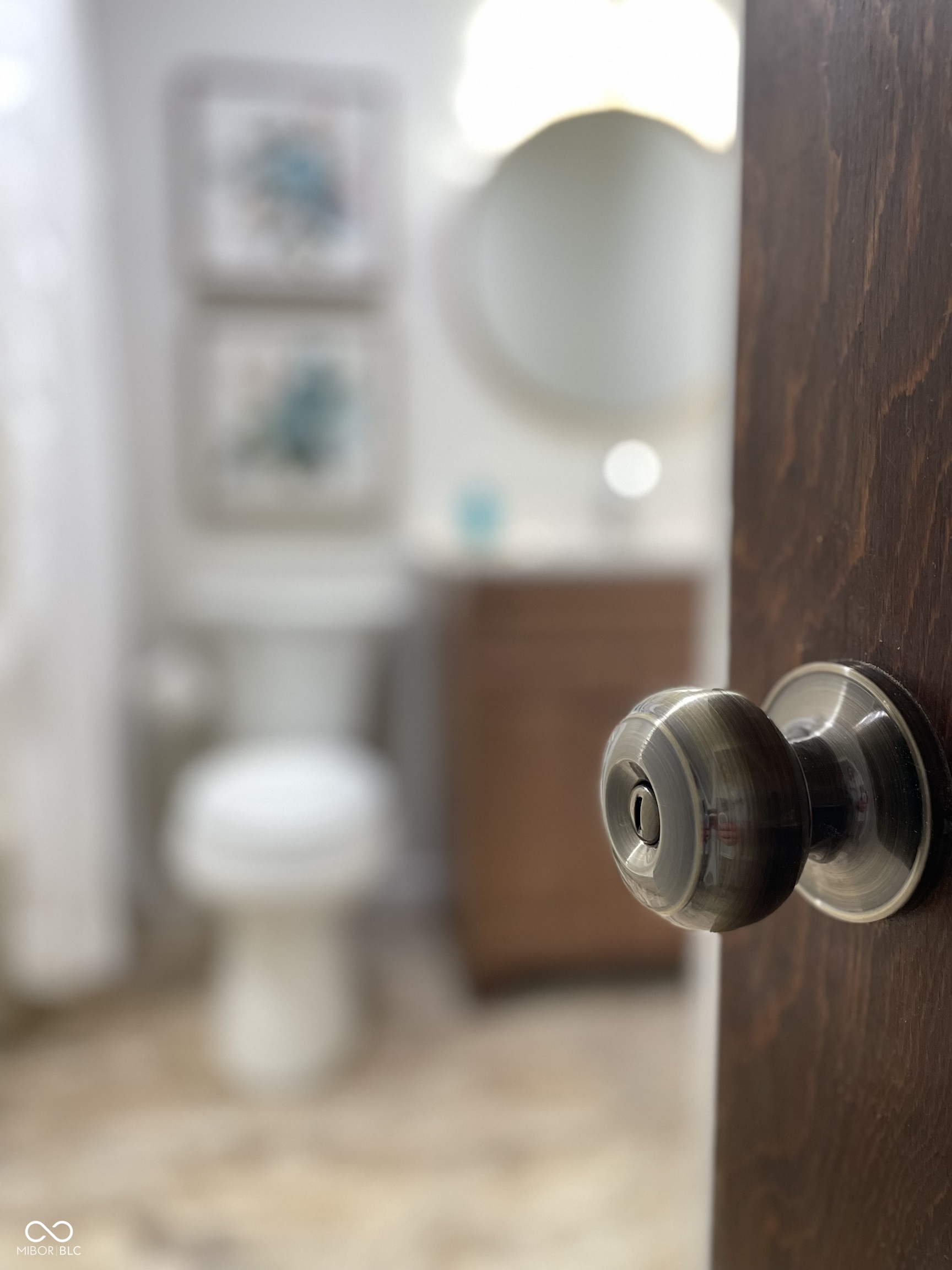 1737 Brer Rabbit Drive Greenwood, IN 46143 - Photo 24 of 57