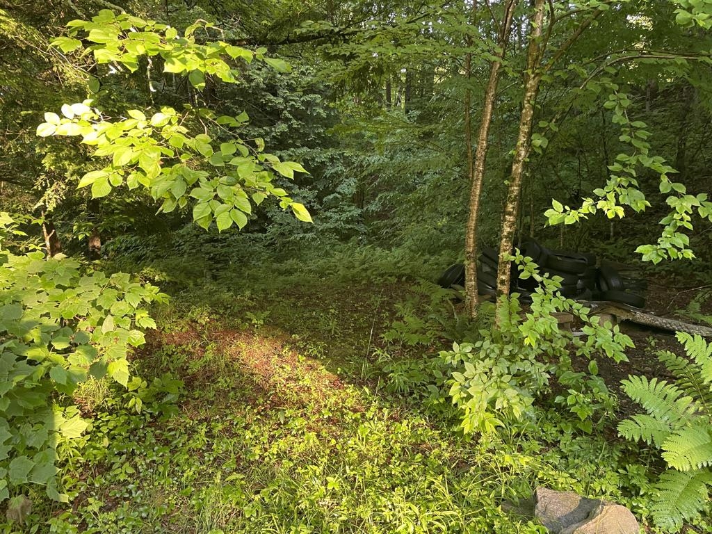 46-2 Benton Road, Unit 2 North Haverhill, NH 03774 - Photo 24 of 45