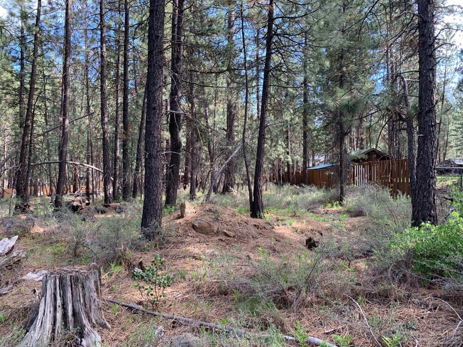 Fairly level site with some very nice to