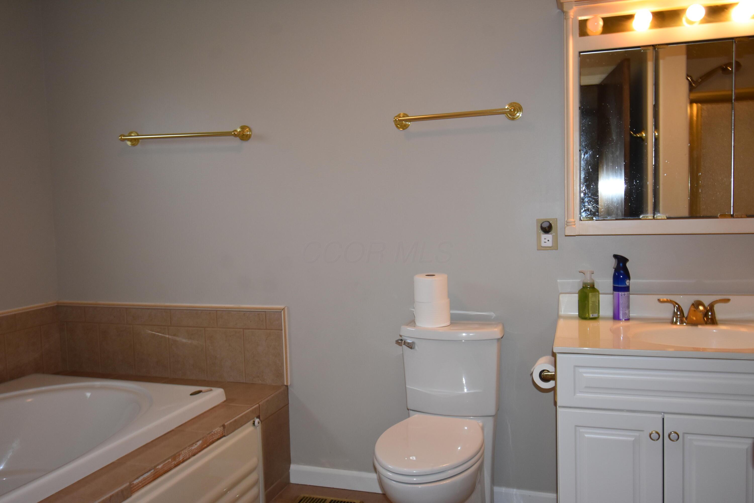 6580 Davis Road Hilliard, OH 43026 - Photo 16 of 23 Primary bathroom