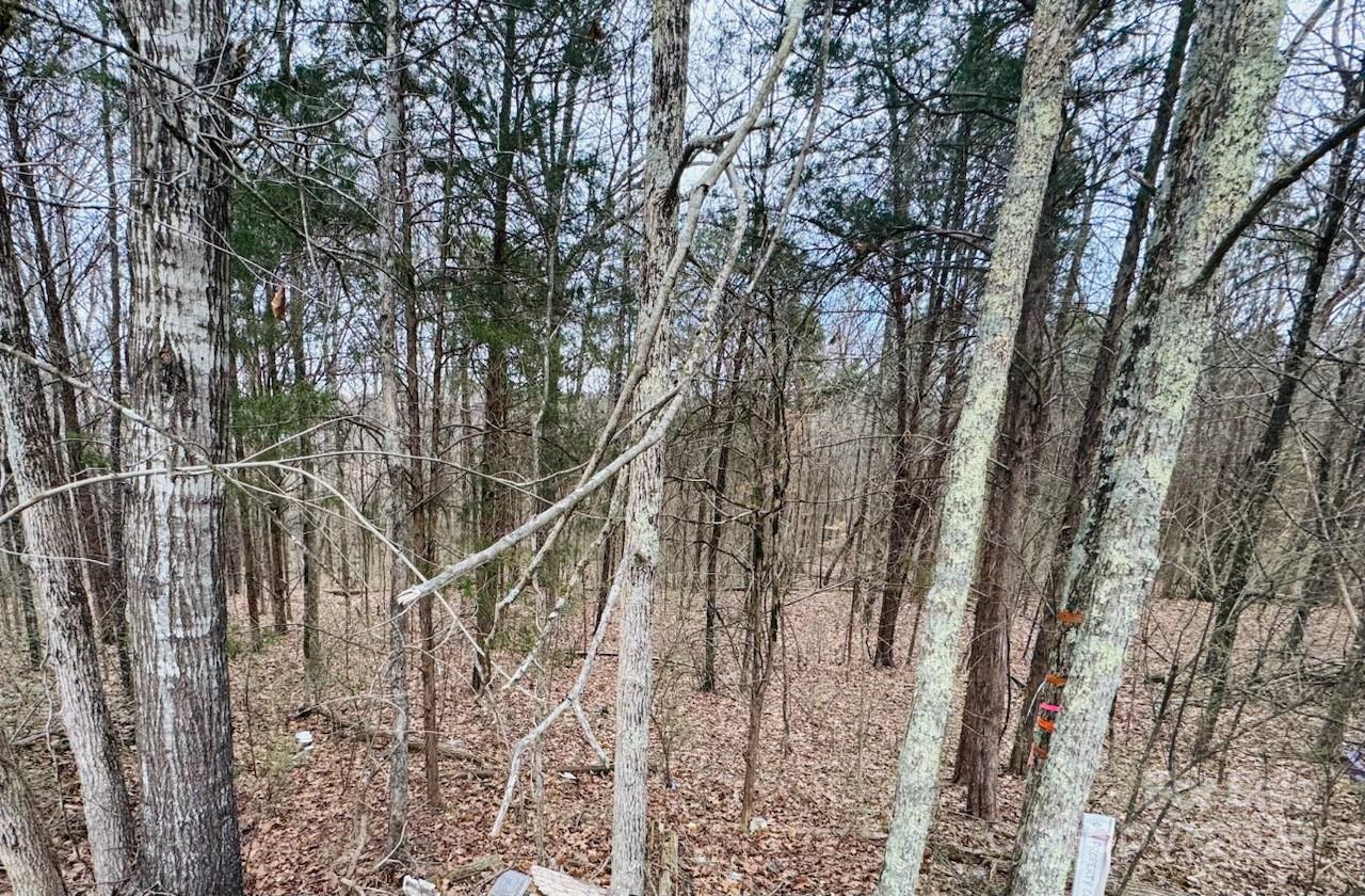 13407 Circle Drive, Unit 40 Charlotte, NC 28262 - Photo 2 of 3