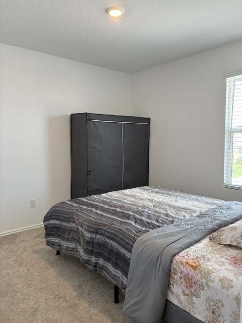 233 Perfect World Loop Jarrell, TX 76537 - Photo 14 of 24 Plush carpeting creates a cozy atmosphere in this well-lit bedroom with ample space.