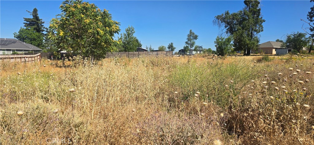 5355 Orchard Drive Paradise, CA 95969 - Photo 3 of 4 a view of a yard with wooden fence