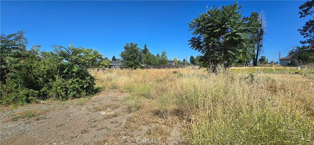 5355 Orchard Drive Paradise, CA 95969 - Photo 4 of 4 a view of a yard with a tree