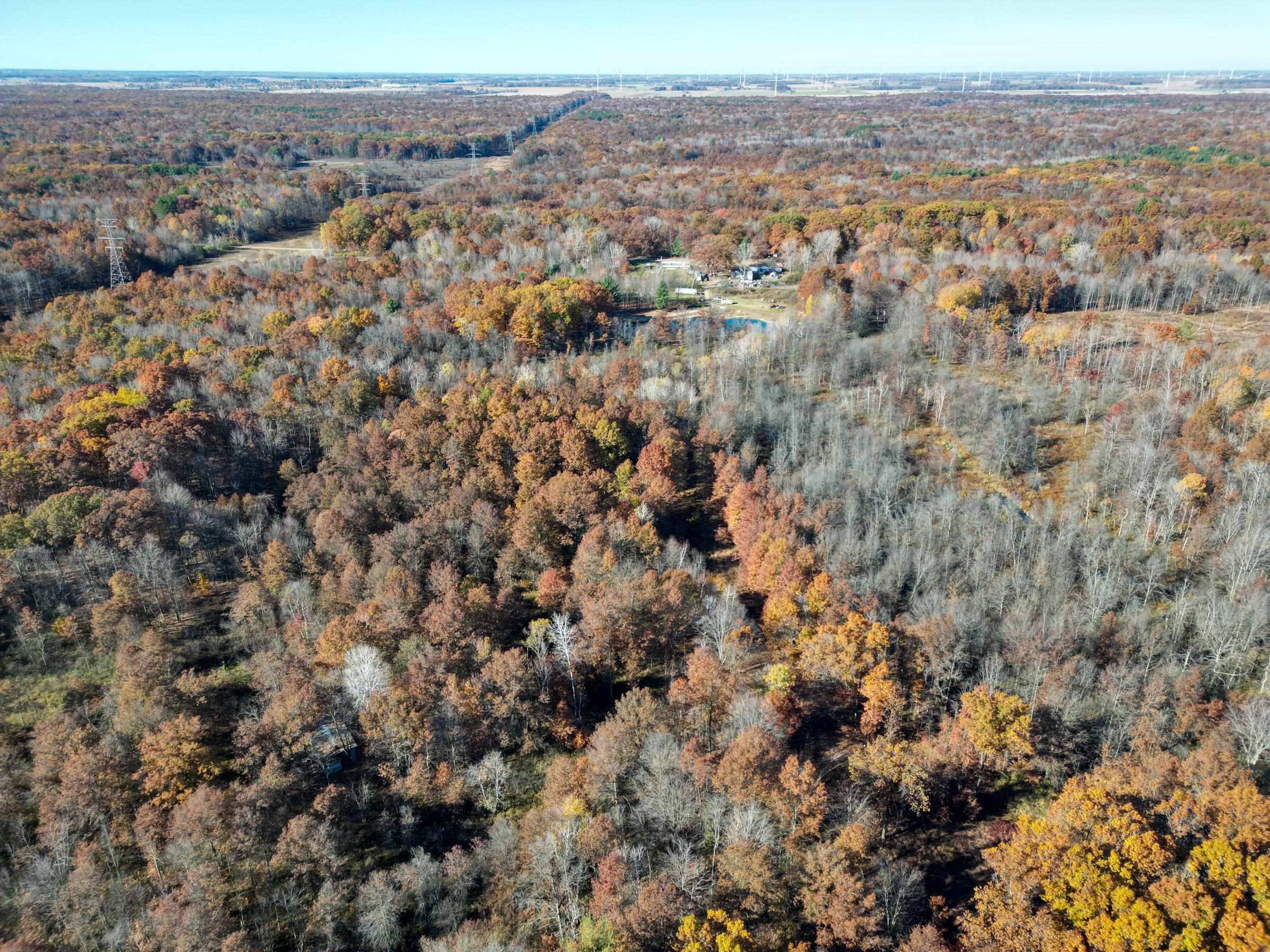 South Woodbridge Road Ashley, MI 48806 - Photo 6 of 14 Gallery Image 6
