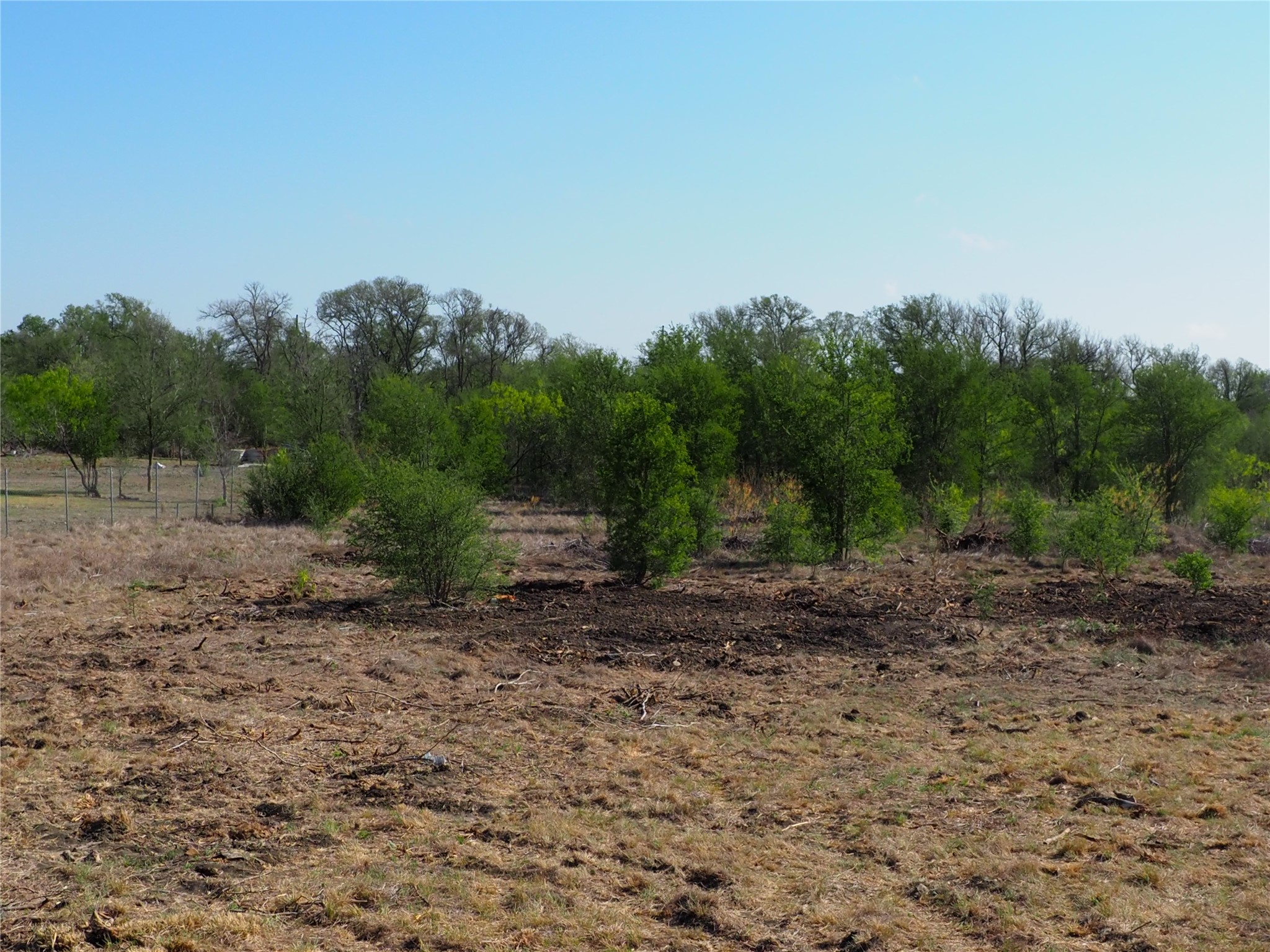 Tbd Candide Lane Kyle, TX 78640 - Photo 5 of 11 a view of a yard with a tree