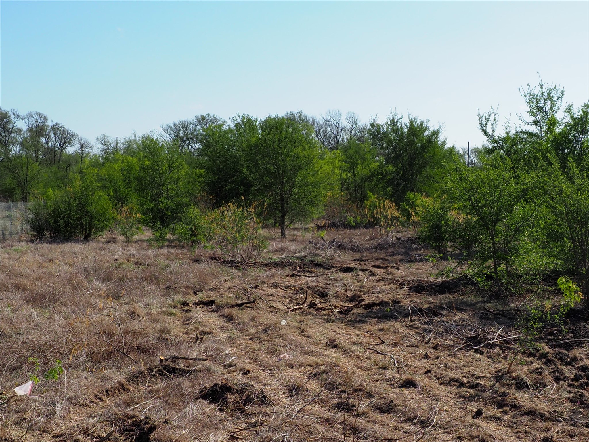 Tbd Candide Lane Kyle, TX 78640 - Photo 6 of 11 a view of a yard with a tree