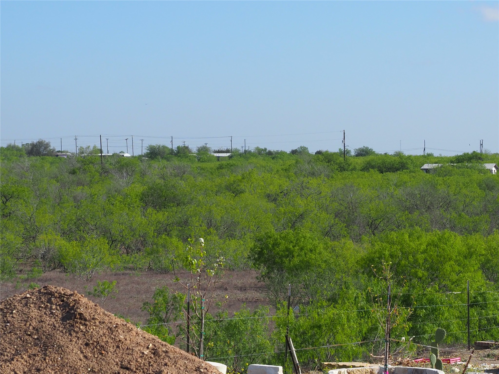Tbd Candide Lane Kyle, TX 78640 - Photo 10 of 11 a view of a garden