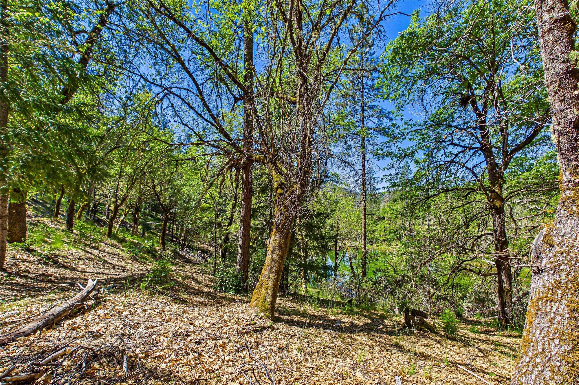 6691 Reading Creek Road Douglas City, CA 96024 - Photo 82 of 101 082-6691 Reading Creek-380