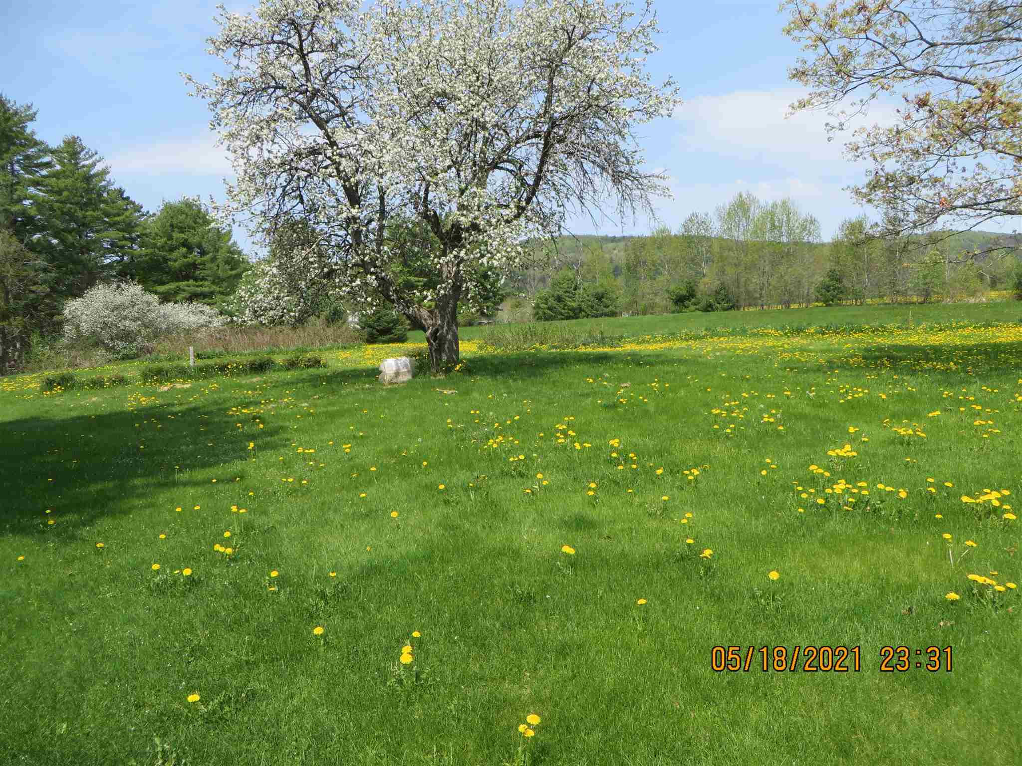 485 East Village Road Waterford, VT 05819 - Photo 4 of 30 Gallery Image 4