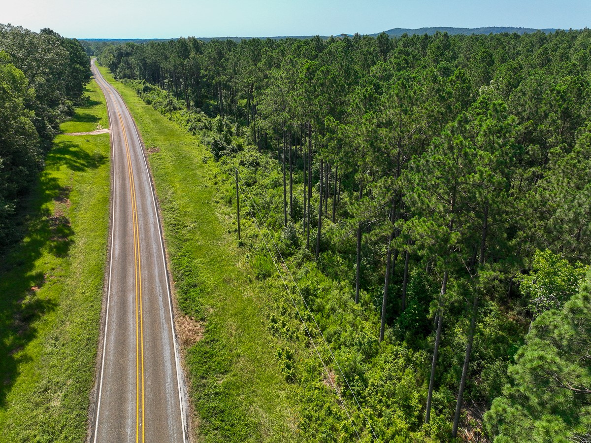 4 Highway 87 South Milam, TX 75959 - Photo 5 of 8 a view of a yard with a palm plant