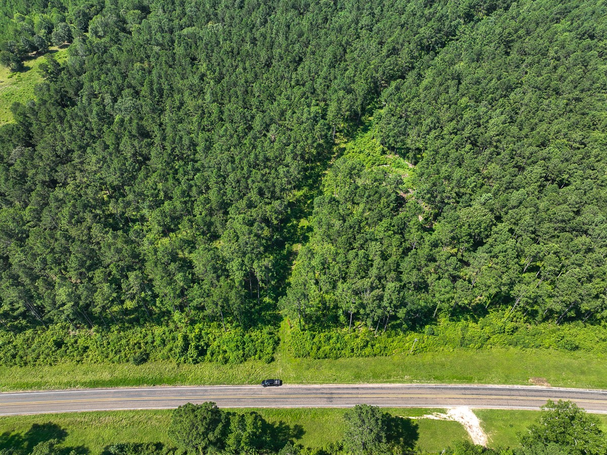 4 Highway 87 South Milam, TX 75959 - Photo 6 of 8 a view of a yard with a tree