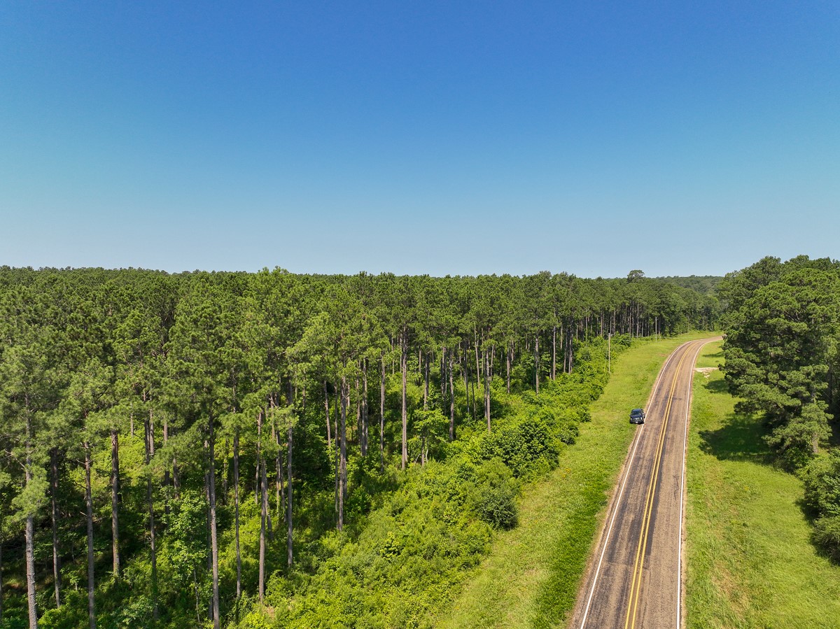 4 Highway 87 South Milam, TX 75959 - Photo 8 of 8 a view of a green field with lots of bushes