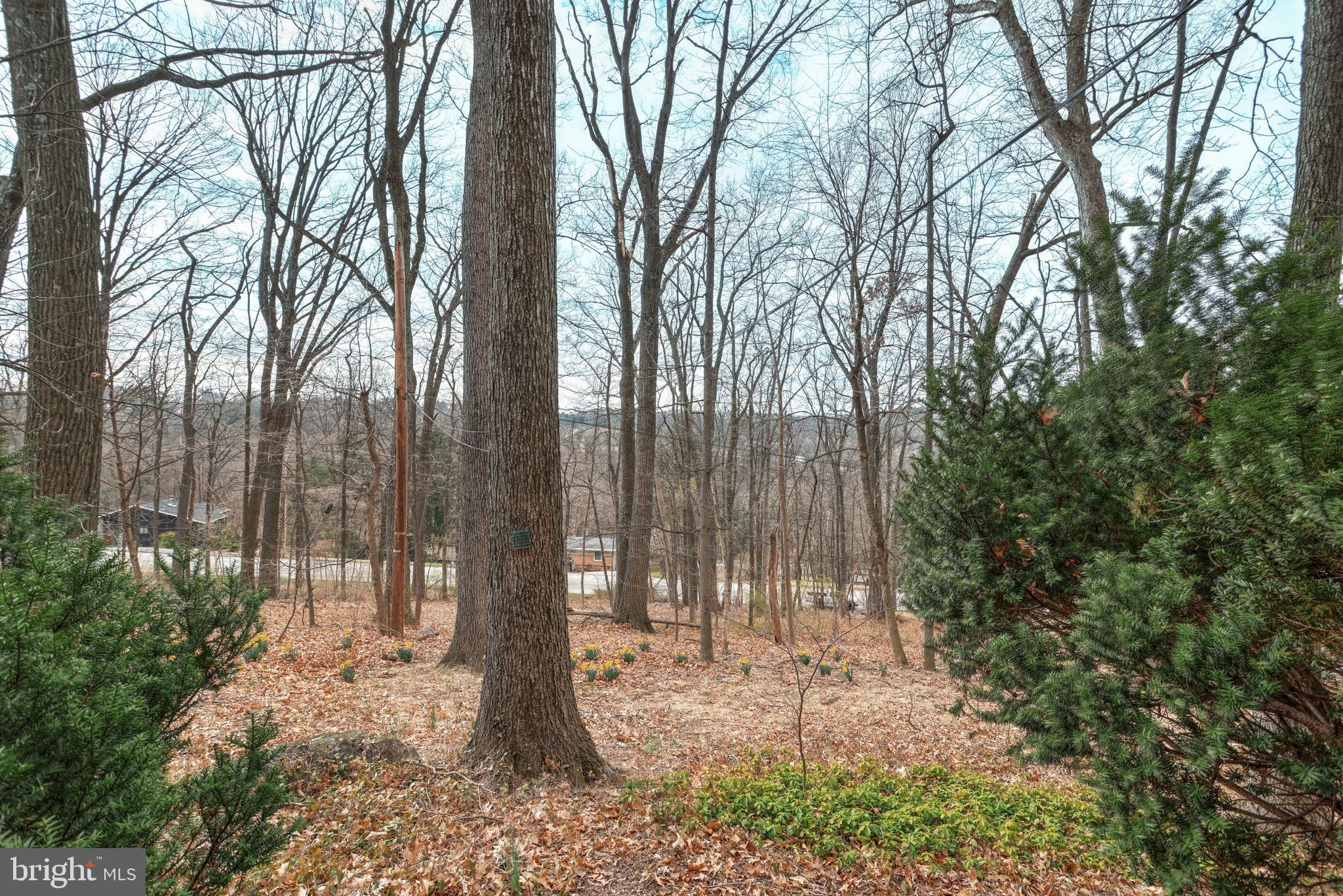 209 Greendale Road York, PA 17403 - Photo 33 of 39