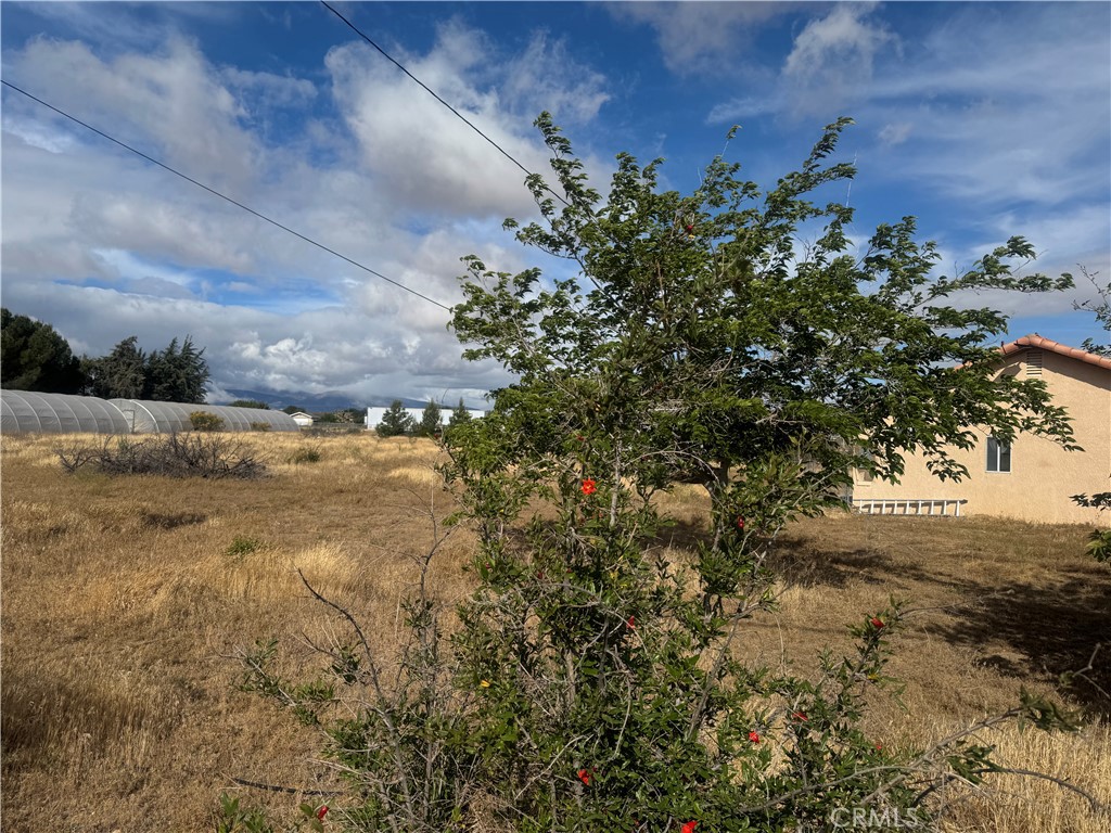 9995 Smoke Tree Road Hesperia, CA 92344 - Photo 37 of 74 a view of a yard