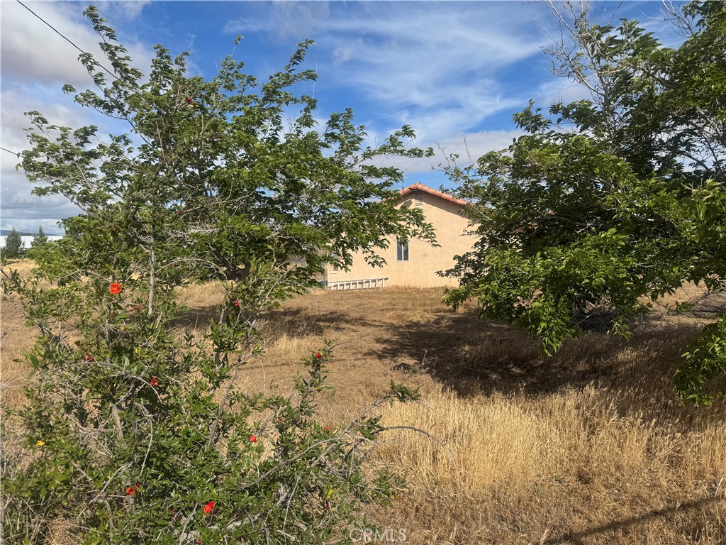 9995 Smoke Tree Road Hesperia, CA 92344 - Photo 6 of 74 a view of a yard