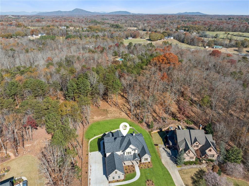 4546 Fawn Path Gainesville, GA 30506 - Photo 8 of 64 an aerial view of a house with a yard