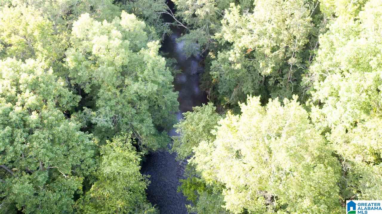 180 Gibson Road, Unit 76 / ACRES OFF GIBSON R Columbiana, AL 35051 - Photo 8 of 50