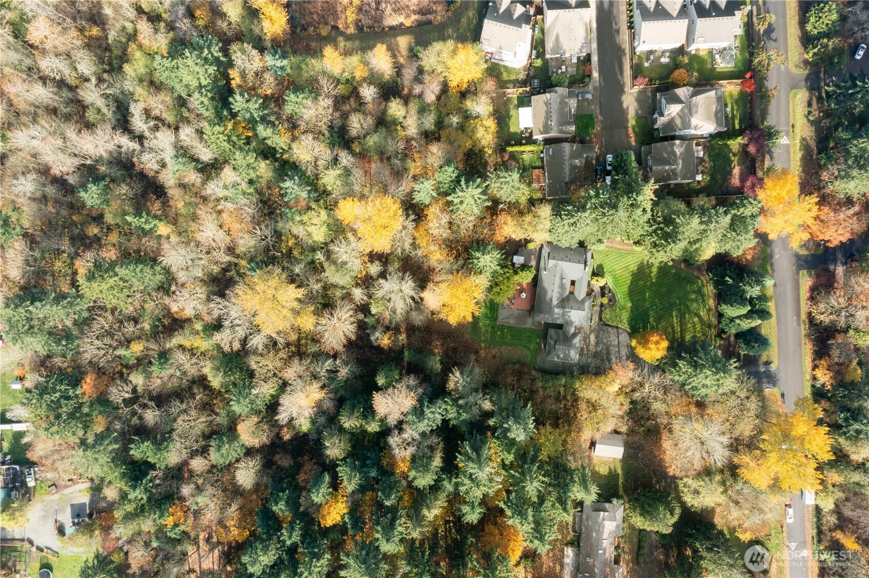 36607 9th Avenue Southwest Federal Way, WA 98023 - Photo 40 of 40 a backyard of a building