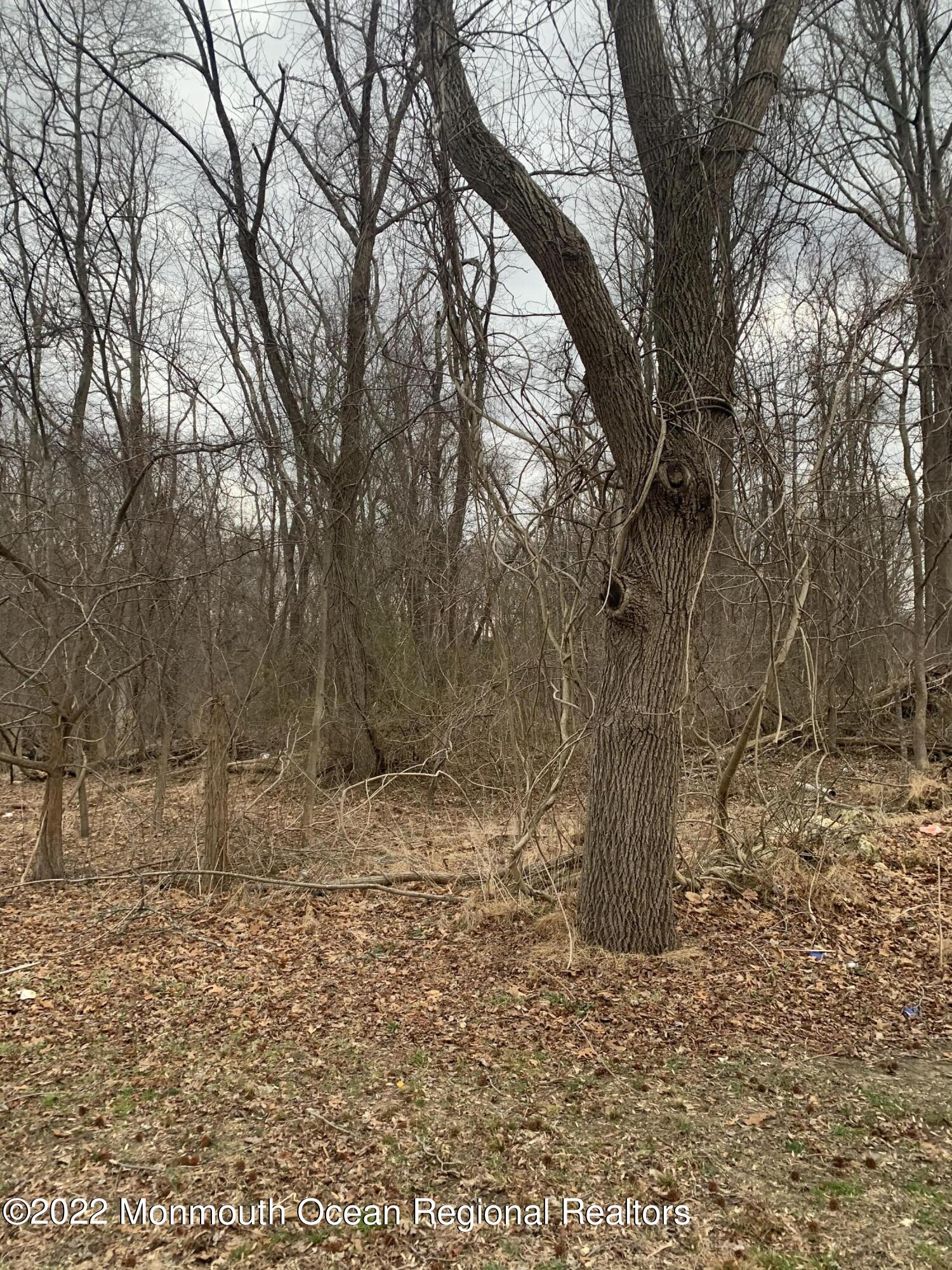 0 Adelphia-Farmingdale Road Freehold, NJ 07728 - Photo 1 of 3 a view of a yard with large trees