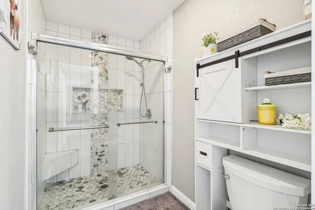 a bathroom with a shower and a toilet