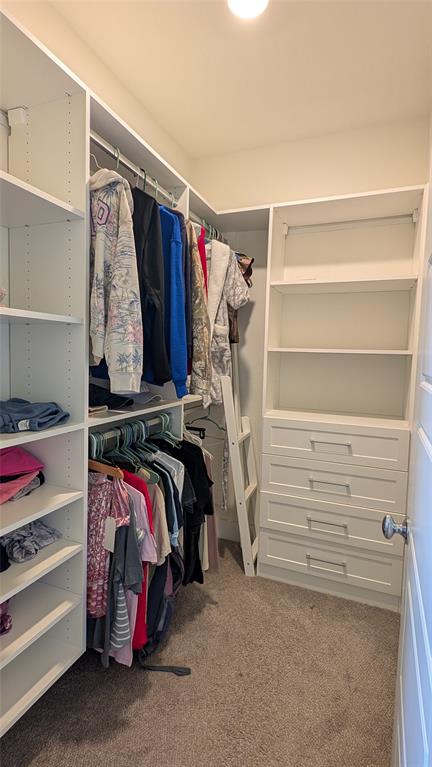 8933 Frostweed Road Frisco, TX 75035 - Photo 23 of 36 a view of walk in closet with clothes and shoes