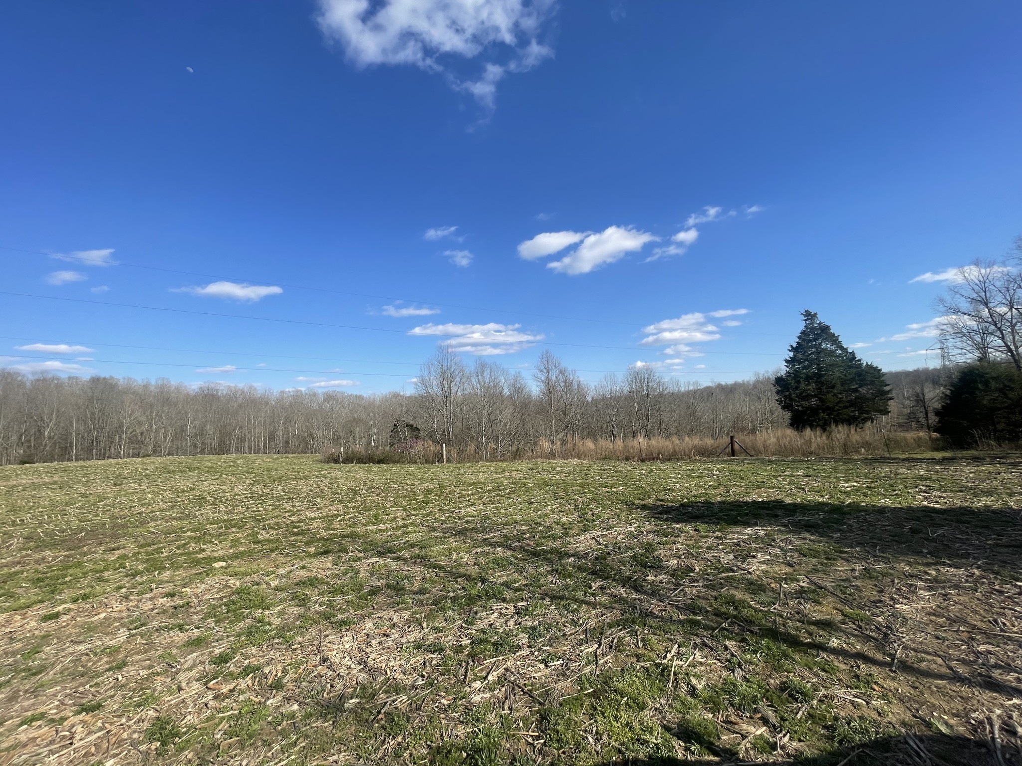 0 California Branch Road Westpoint, TN 38486 - Photo 3 of 9 a view of mountain with lake view