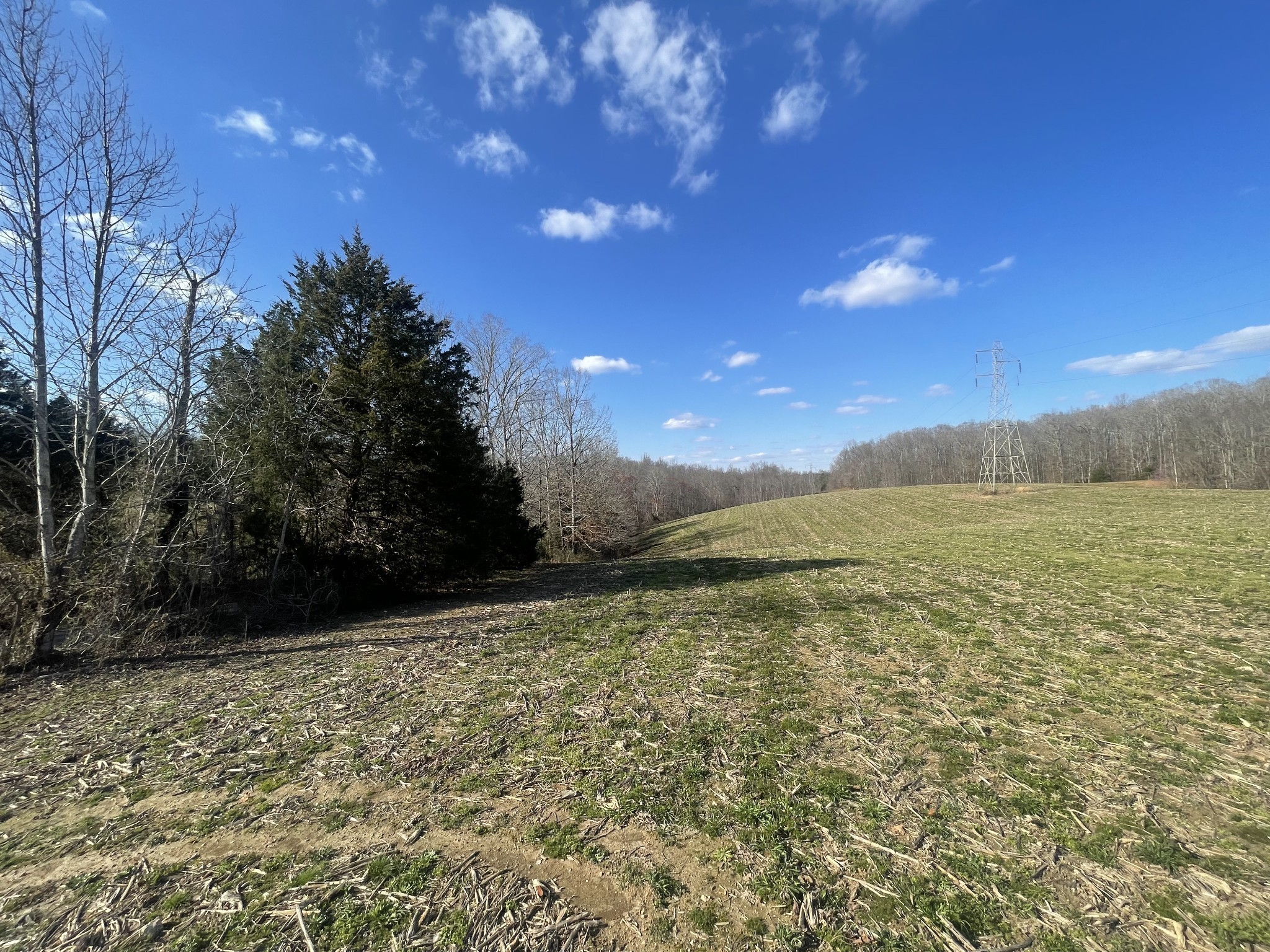 0 California Branch Road Westpoint, TN 38486 - Photo 4 of 9 a view of lake